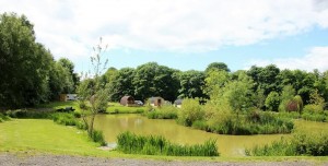 gallery-img18 