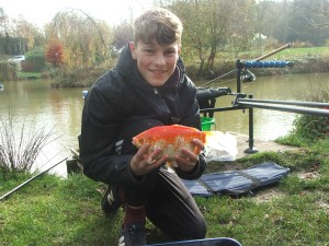 gallery-img19 