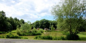 gallery-img22   