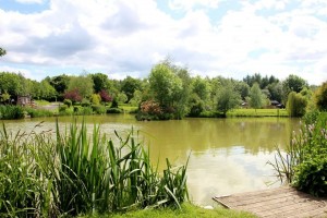 gallery-img4