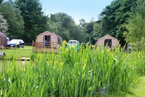 gallery-log-pods-img4  