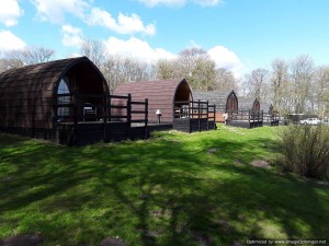 Glamping pod (9)