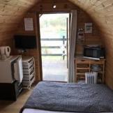 kingfisher4