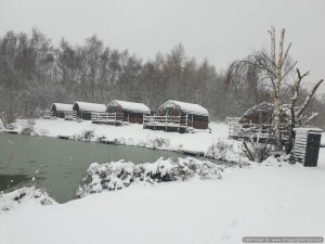 springwood pods in winter